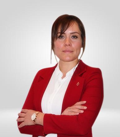 Özlem Dağlı Gökbulut